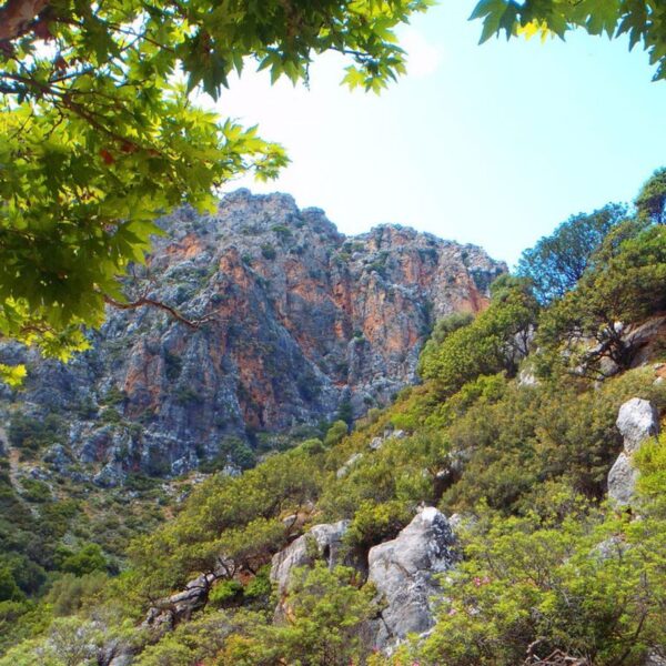 Aposelemis Canyon Canyoning