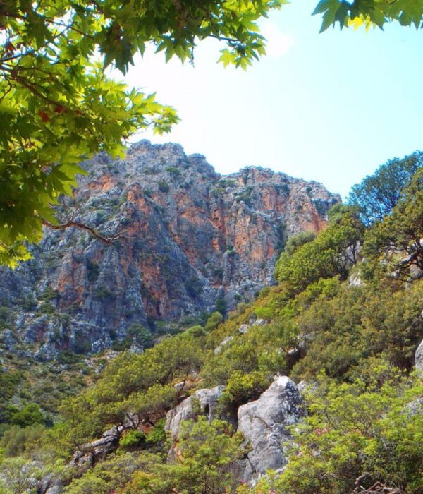 Aposelemis Canyon Canyoning