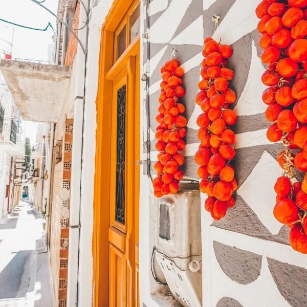 Chios Mastiha and Food Tour