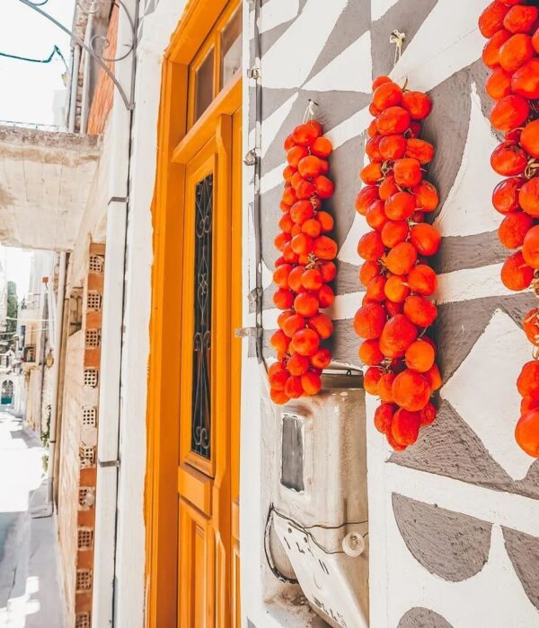 Chios Mastiha and Food Tour