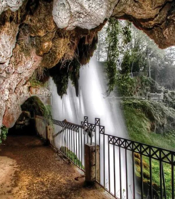Macedonian Wellness Day