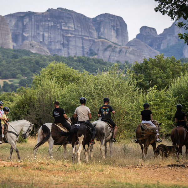 Meteora Truffle Hunting with Horseback Riding