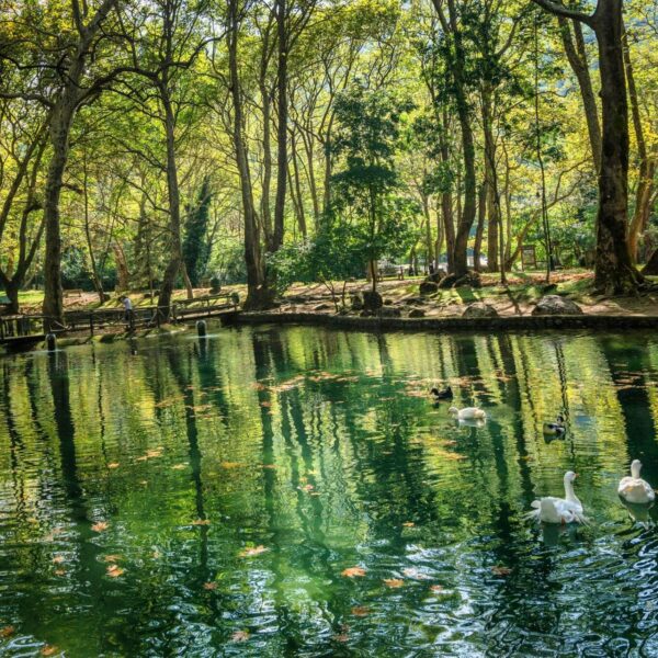 Optional Daily Trips: Naousa - Agios Nikolaos