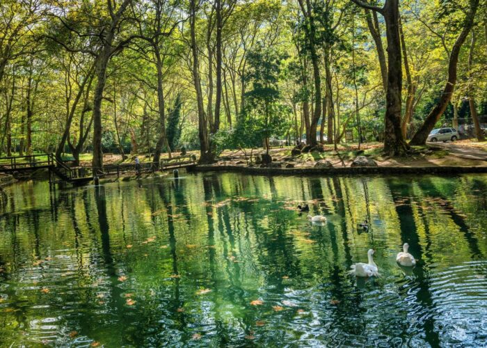 Optional Daily Trips: Naousa - Agios Nikolaos