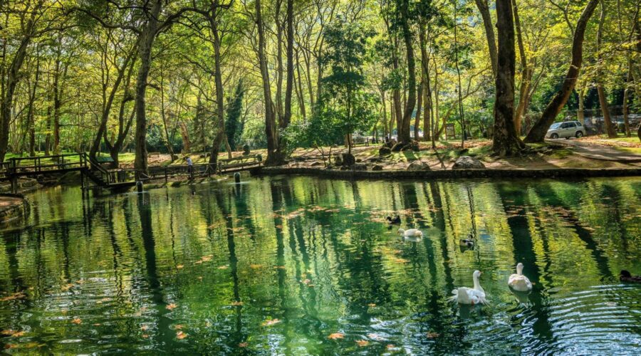 Optional Daily Trips: Naousa - Agios Nikolaos