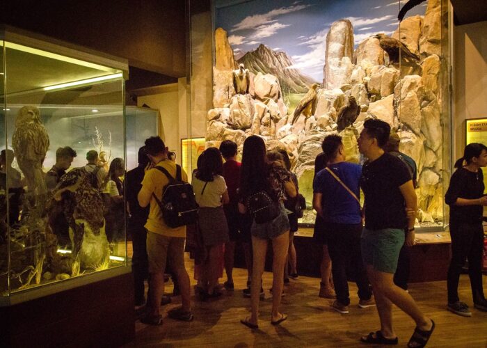 Nights at the Museum – Meteora