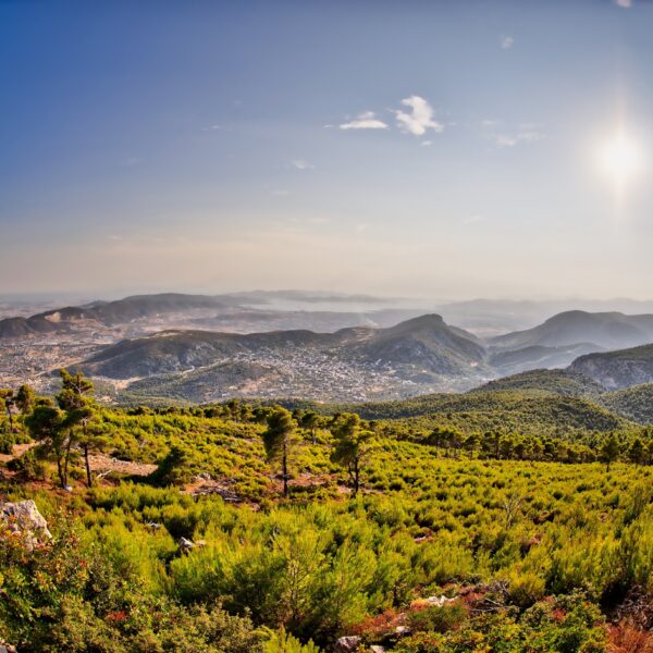Parnitha Mountain Escape