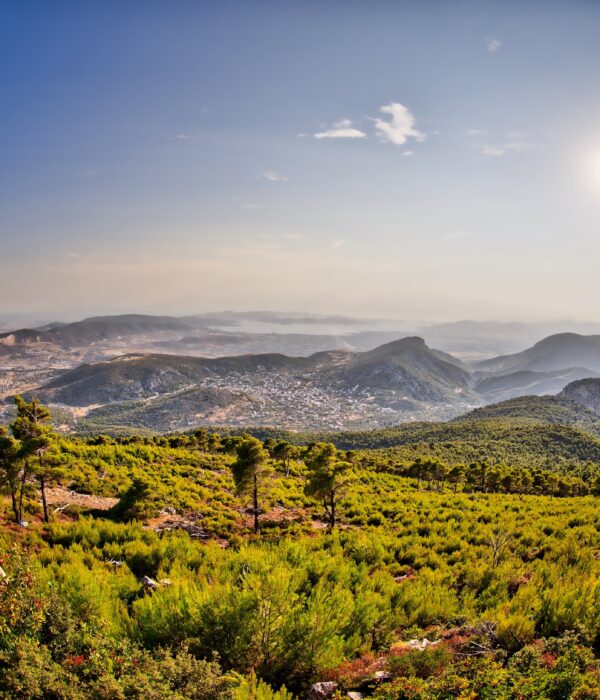 Parnitha Mountain Escape