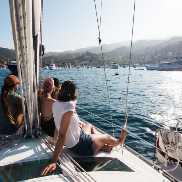 One Day Sailing Cruise