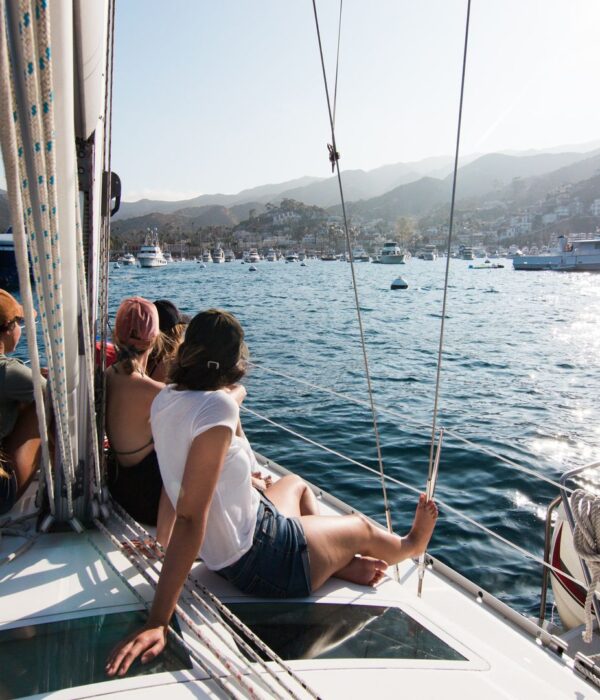 One Day Sailing Cruise