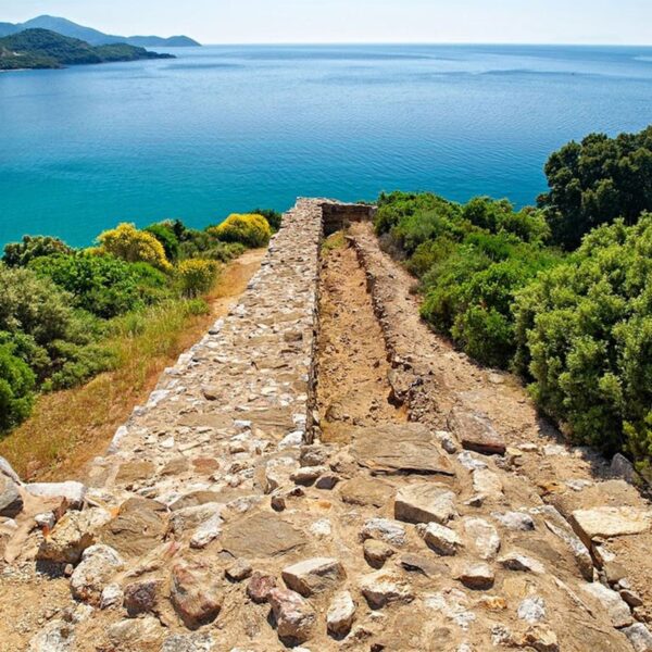 Optional Daily Trips: Halkidiki - Aristotle's Park - Petralona Cave