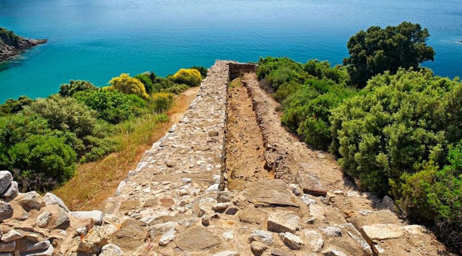 Optional Daily Trips: Halkidiki - Aristotle's Park - Petralona Cave