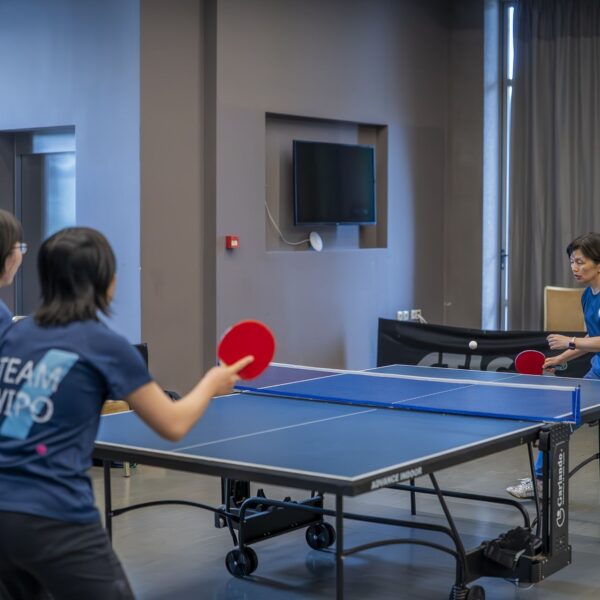 Table Tennis Camps in Hersonissos, Crete Island