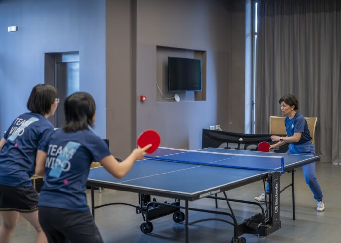 Table Tennis Camps in Hersonissos, Crete Island